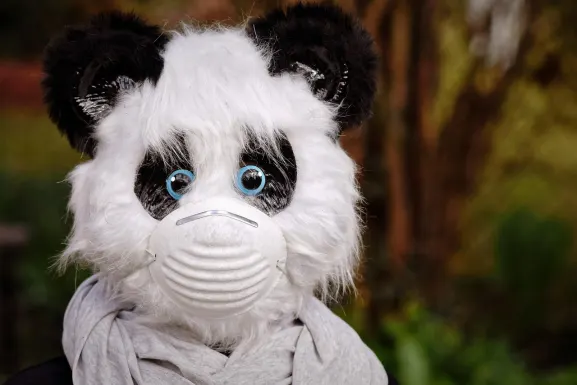 Casino Hot Line Supporto